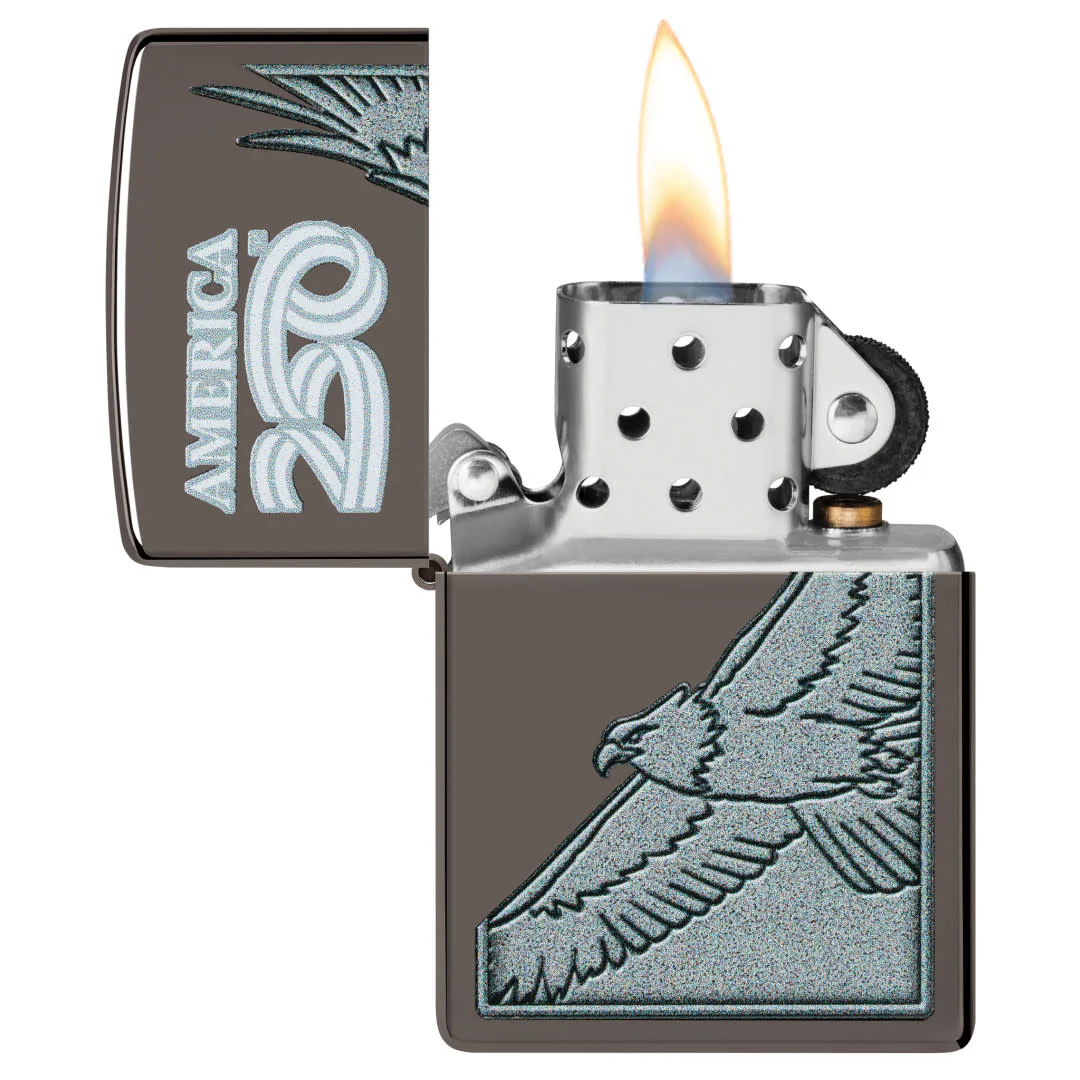 America250 Eagle Design - Image 4