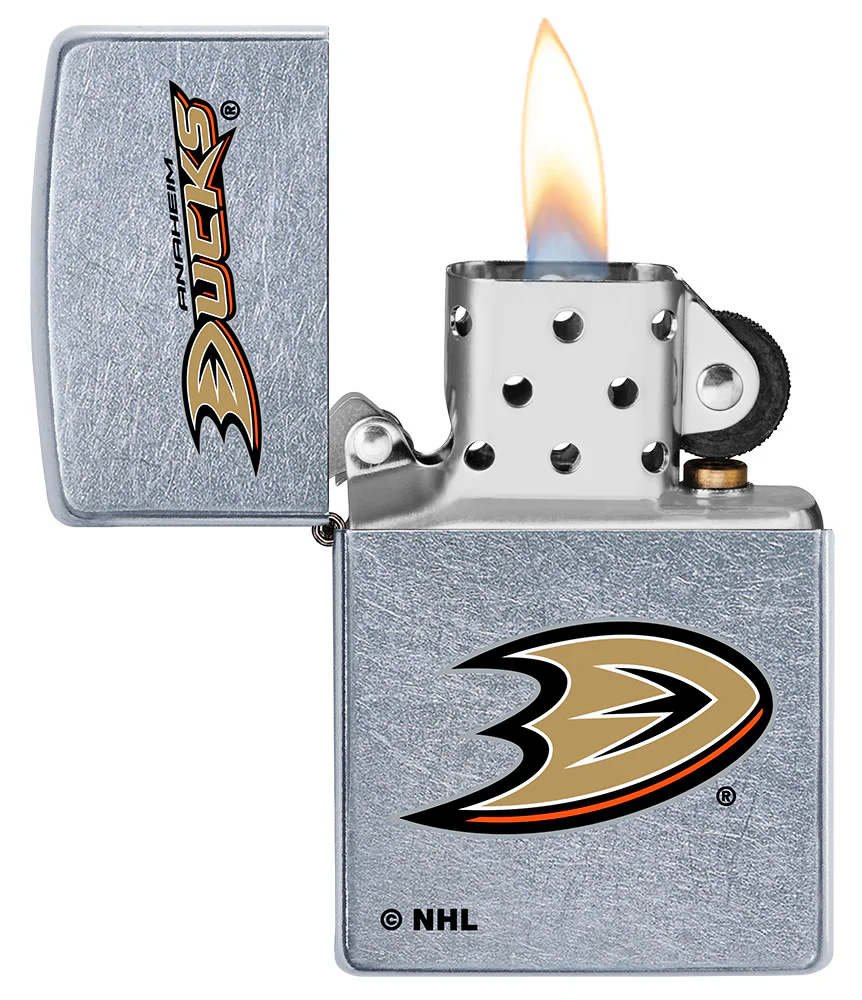 Anaheim Ducks® Logo Design - Image 3