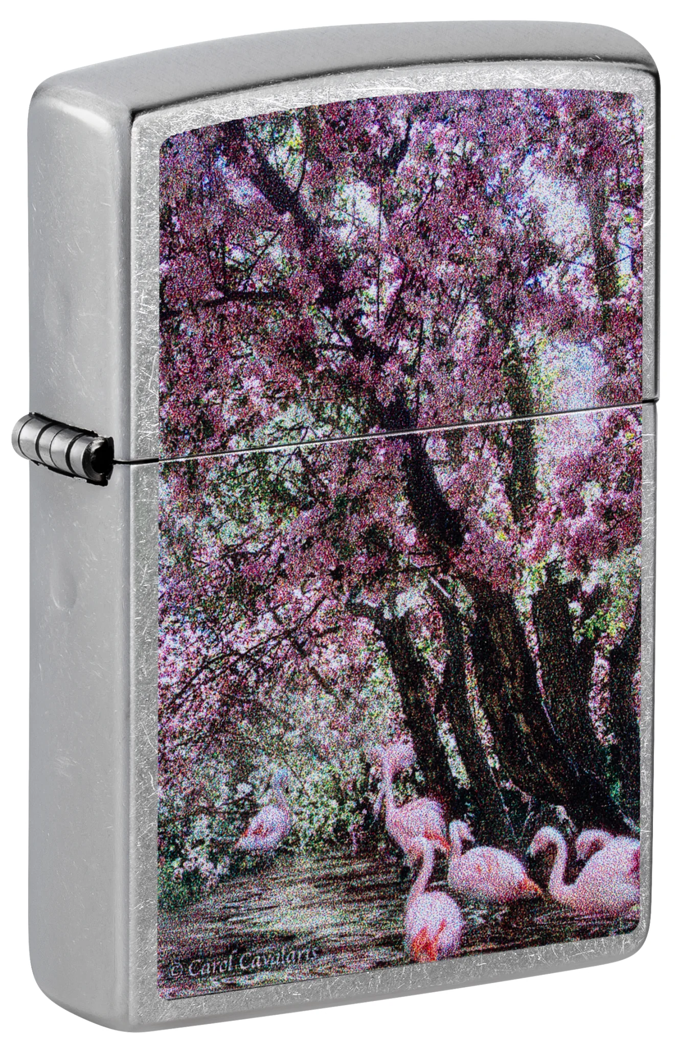 Carol Cavalaris Flamingo Lagoon Design