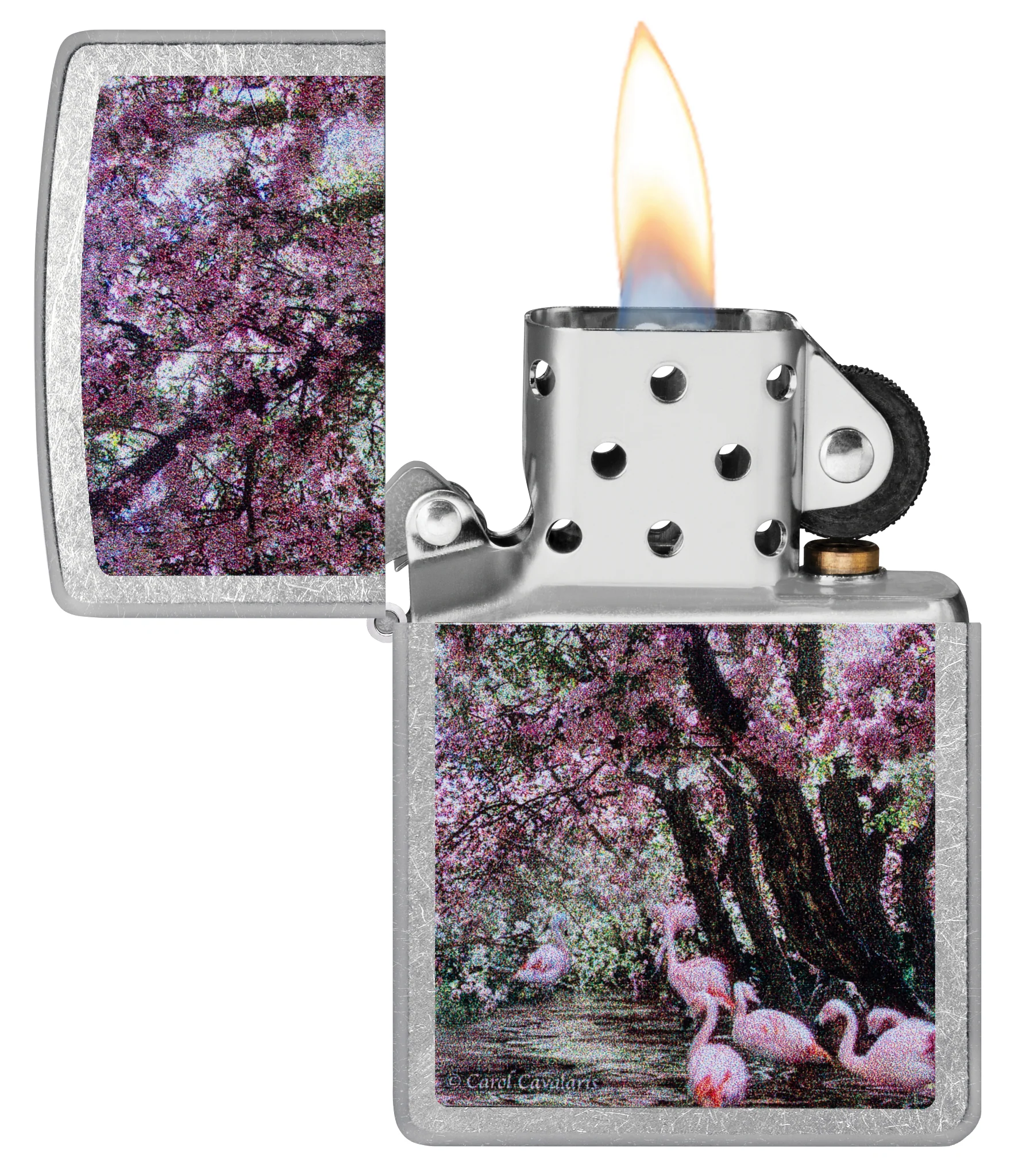 Carol Cavalaris Flamingo Lagoon Design - Image 4