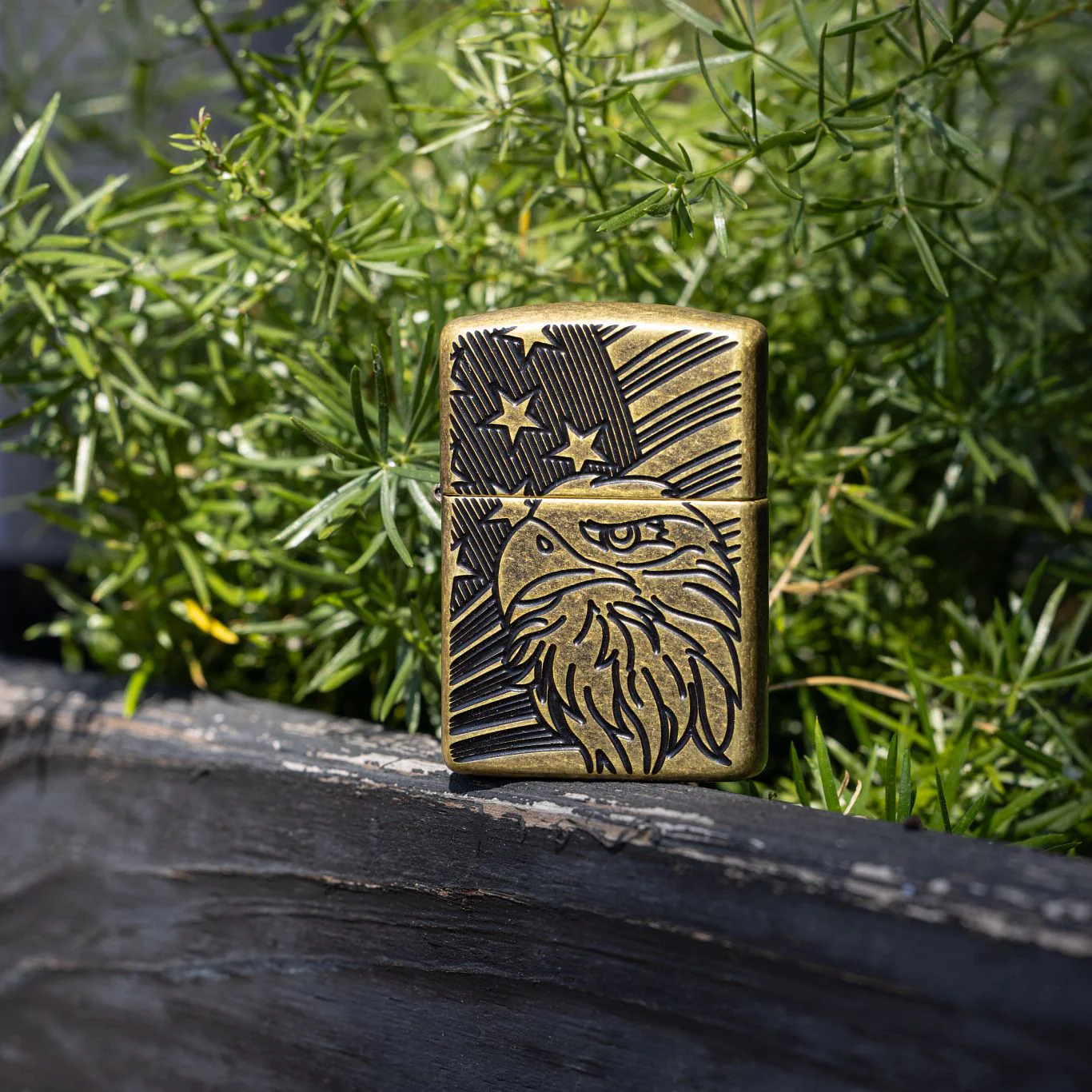 Eagle and Flag Design - Image 2