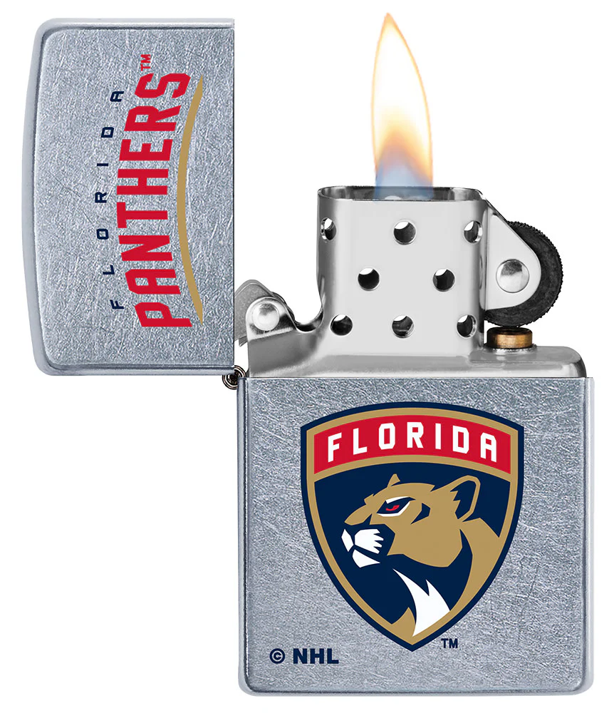Florida Panthers® Logo Design - Image 3