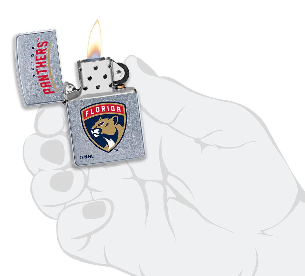 Florida Panthers® Logo Design - Image 4