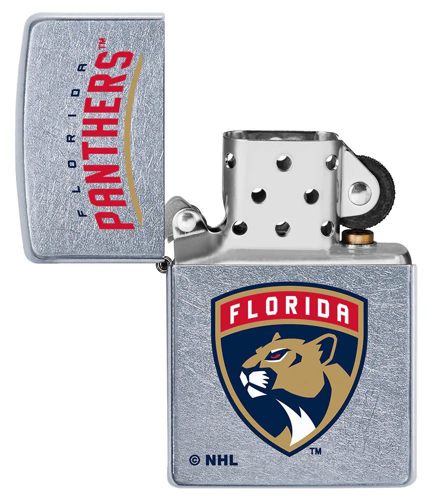 Florida Panthers® Logo Design - Image 7