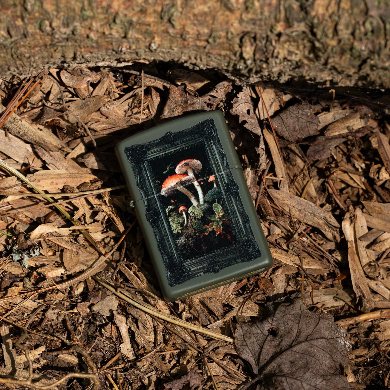 Framed Fungi Design - Image 2