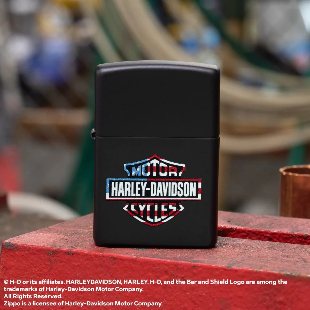 Harley-Davidson® Flag Logo Design - Image 2