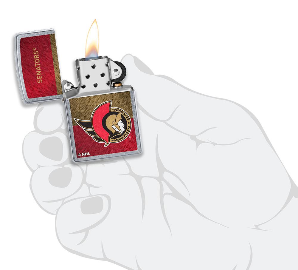 Ottawa Senators® Icon Design - Image 4