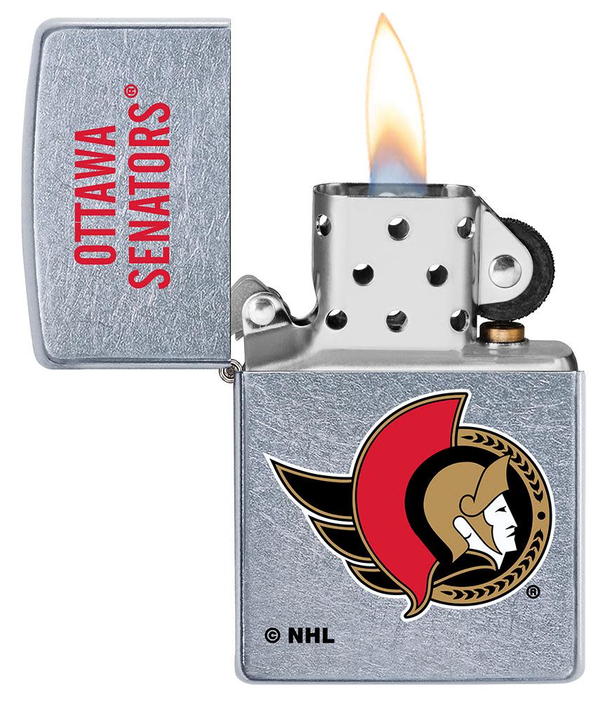 Ottawa Senators® Logo Design - Image 3