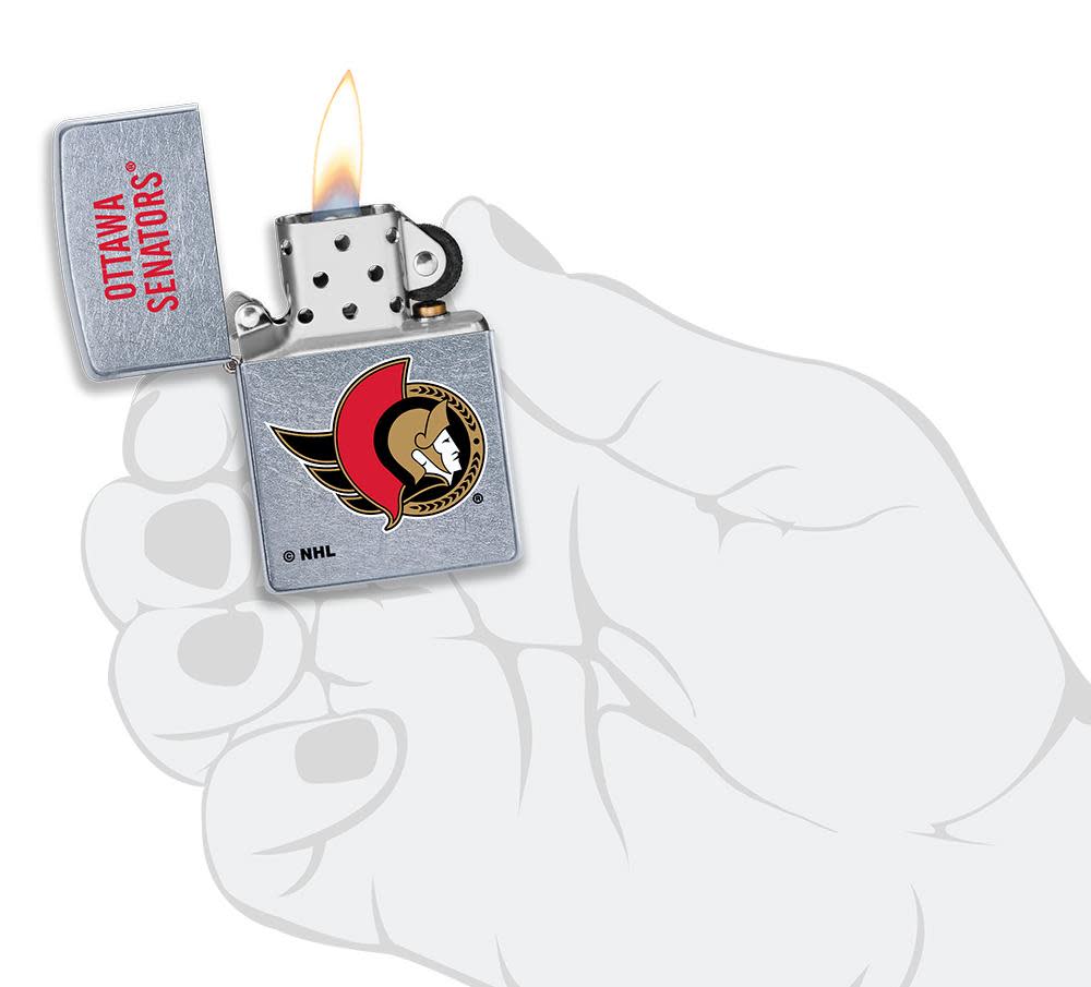 Ottawa Senators® Logo Design - Image 4