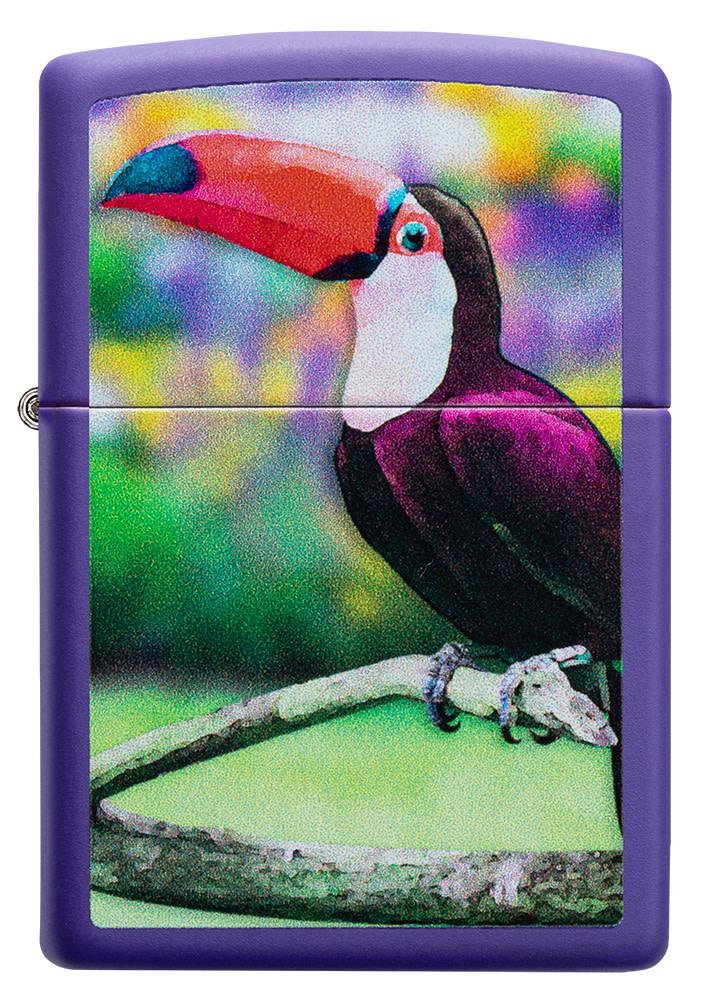 Toucan Design - Image 6